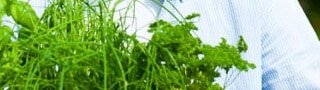 التطبيقات الهجينة